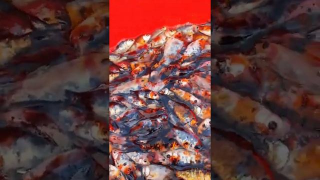 What the Cutest And Attractive Fishes, Gold Fish, Telescope eye - Most Beautiful Fish Video#607