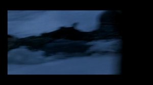 Заклинатель лошадей