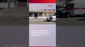 В школу Челябинска ученик пришел с молотком