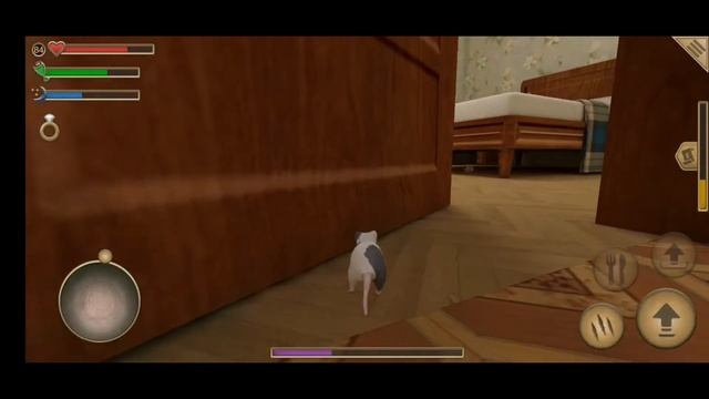 Симулятор мыши - игра, баг, секреты прохождения