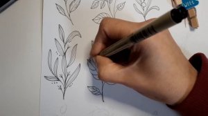 12 doodle leaves. Step by step drawing