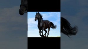 Как спят лошади , интересные факты