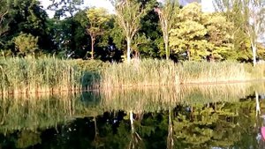 Донецк, река Кальмиус 2017