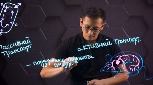 Значение транспорта питательных веществ в живых организмах. 7 класс.