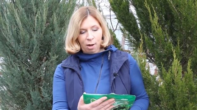 Хвойные весной // Подкормка для хвойных растений