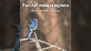 Бамбуковая флейта