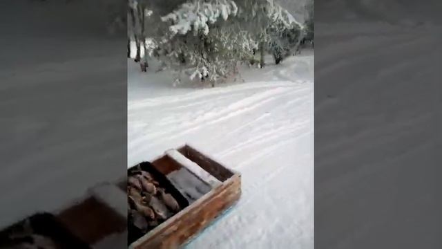 Мотобуксировщик Ураган Тайга тащит 500 кг. на ура! смотреть онлайн