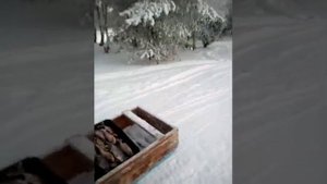 Мотобуксировщик Ураган Тайга тащит 500 кг. на ура!