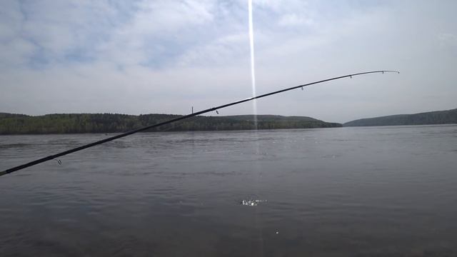 Поездка на Енисей за крупным хариусом с Антоном!!! Отдохнули классно!!! смотреть онлайн