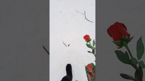 Не примеряйте пальто нечестности! • Что такое духовность,с чего начать духовно расти • Про честност