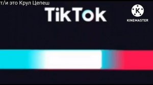 реакция Бродячих псов на т/и