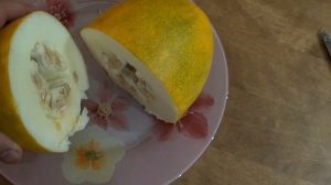 Дыня Сибирячка пробуем