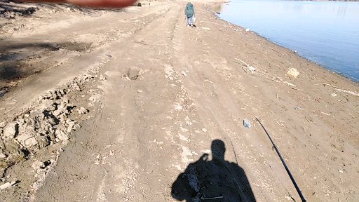 осень 2022