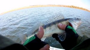 Летняя рыбалка 2020, уХ эТа лАрВа, Щука на джиг, Судак на джиг.