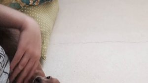 Первые дни дома, щенок той-терьера 2,5 месяца