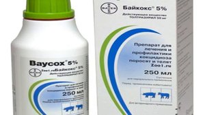 Кокцидиоз у цыплят