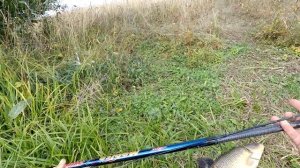 ОСЕННИЙ КАРП НА БОКОВОЙ КИВОК...Он берёт даже в такую погоду!!!!