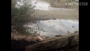 Отдых и рыбалка в ст ленинградской