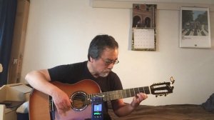 The Entertainer (Fingerstyle guitar)
