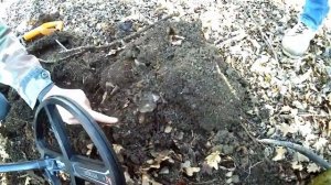 Нашли Клад серебра Крымского Ханства! Поиск кладов в Крыму!