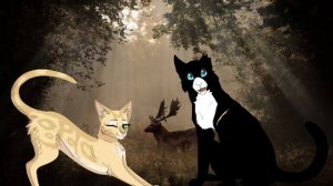 Топ 7 моих любимых персонажей в кв. Чёрноглазка кв.