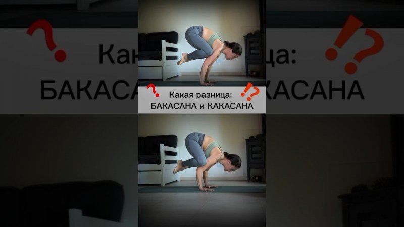 Больше о йоге @yogaalbina #йогадляновичков #йогадляначинающих