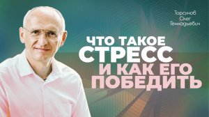 Где брать силы, чтобы побороть стресс? (Торсунов О. Г.)