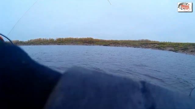 Осенняя рыбалка в ХМАО. Личный рекорд по щуке! смотреть онлайн