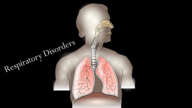 Exposing Limes Healing Secrets! смотреть онлайн