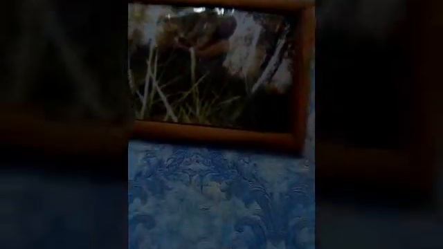 Клип №3 смотреть онлайн