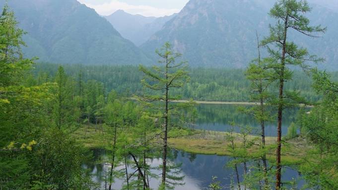 КОДАР 2024 4 Средний Сакукан и Озёрное плато