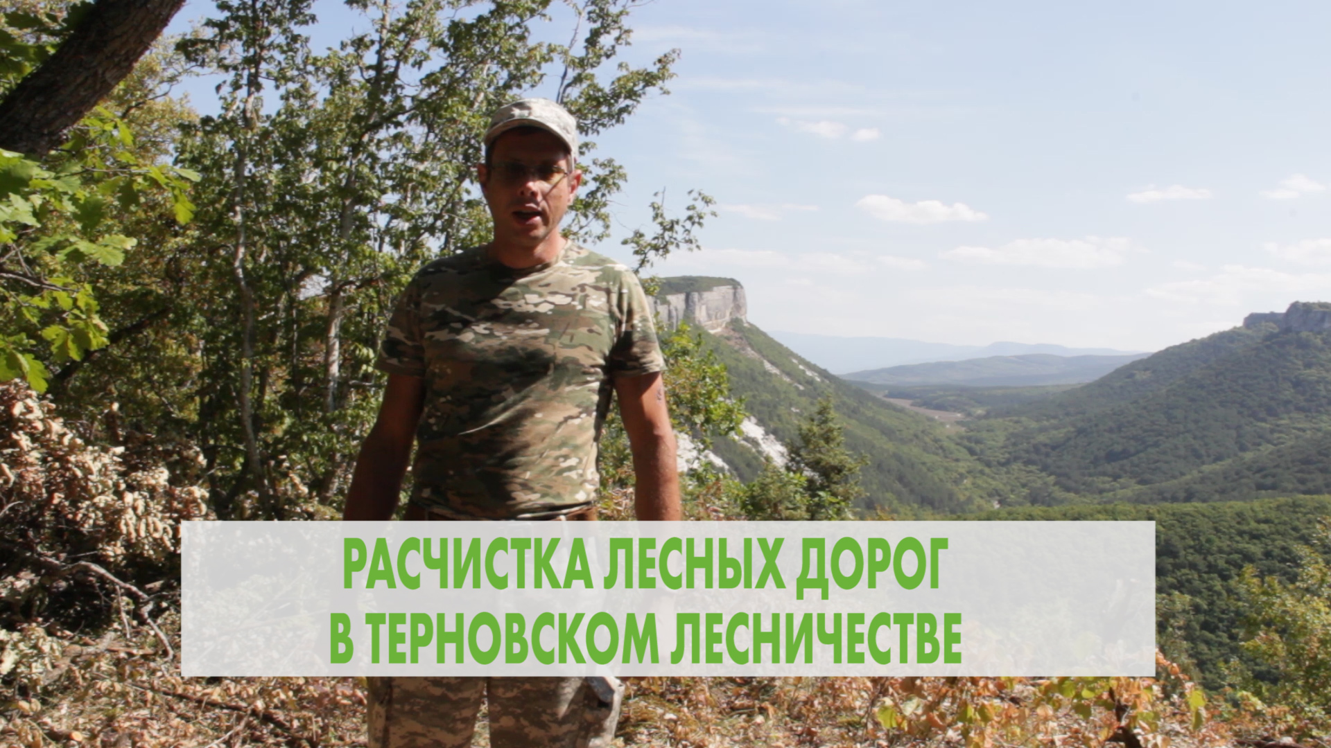 Расчистка дорог в Терновском лесничестве