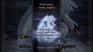 Рэхэтлэмен, шокер ходайга. Эльмира Сулейманова башкара бик нык матур жыр дусларга
