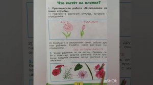 1 класс. ГДЗ. Окружающий мир. Рабочая тетрадь.Часть 1. Плешаков. Страницы 13-14. С комментированием