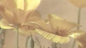 Движение растений (Movement of plants)