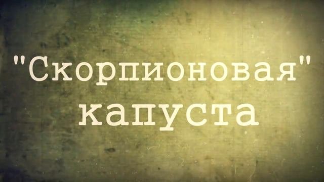 5 САМЫХ НЕВЕРОЯТНЫХ ГЕНЕТИЧЕСКИХ ЭКСПЕРИМЕНТОВ