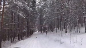 СБОРНИК про Сиреноголового и картун кэт в реальной жизни.