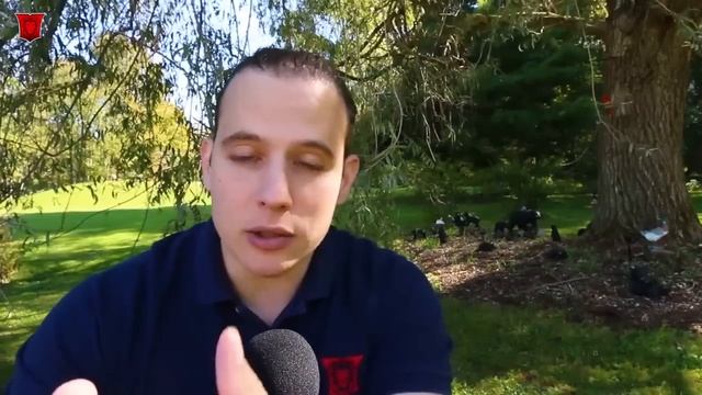 ¿Expertoption es una estafa? Expertoption opinión смотреть онлайн