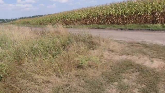 БУДЕМ КАТАТЬ . kovi 300 pro. KOVI LITE. KAYO 125. GEON DAKAR GNS 300. #237 смотреть онлайн