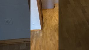Ремонт дубового паркета