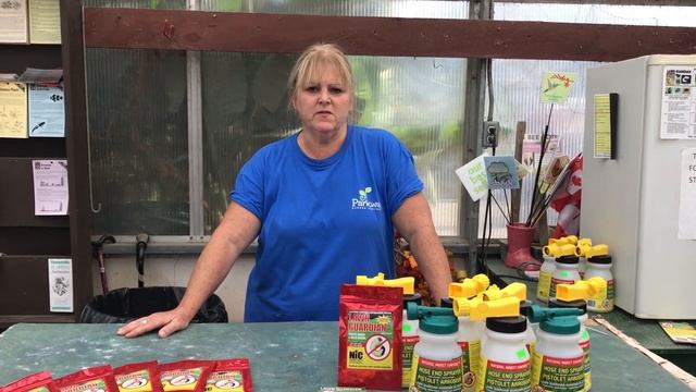 Nematodes Q&A - Parkway Garden Centre смотреть онлайн