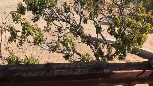 New Goals for the Homestead смотреть онлайн