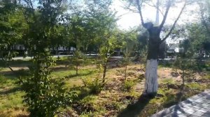 Обновленный бульвар космонавтов г. Жезказган / скейт-парк / шахматные поля / "Я люблю Жез"