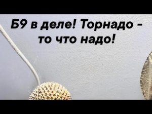 Б9 в деле! Торнадо - то что надо!