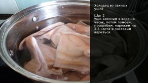 Холодец из свиных ушей . Рецепт от шеф повара Максима Григорьева