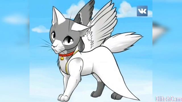 какой тебе котик нравится смотреть онлайн