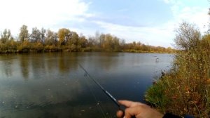 Осенний ДЖИГ. На озере не клюёт, а на реке КЛЯЗЬМА щука жирует.