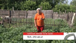 Голова садовая - Уход за картофелем. Мои эксперименты