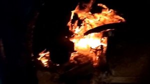 КОТЕЛ НА ДРОВАХ ОЧЕНЬ ДЛИТЕЛЬНОГО ГОРЕНИЯ. Твердотопливный котел с топкой из нержавейки  КОСМОС