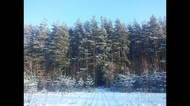 Зимняя история